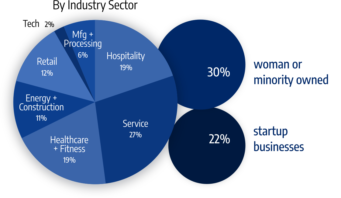 22% startup business. 30% women or minority owned. 11% energy and construction. 19% healthcare and fitness. 19% hospitality. 6% manufacturing and processing. 12% retail. 27% service, 2% technology.